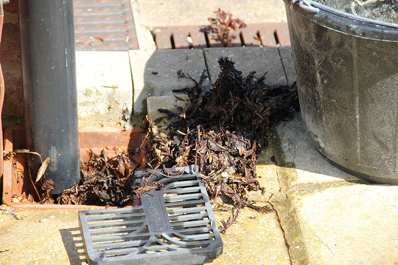 An example of leaves in a gully.