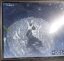 blocked drain clearance can be extended if tree root ingress needs cutting out. A CCTV image of fibrous roots growing in a drain causing a blockage.