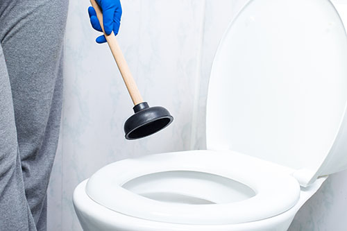 A photo of a toilet about to be unblocked using a plunger