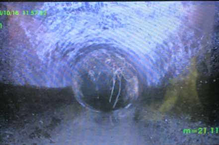 CCTV image showing roots have infiltrated the walls of the drain.