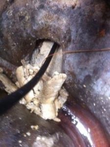 This photo shows the amount of congealed white fat can collect and block a drain – that isn't the worst it can be.