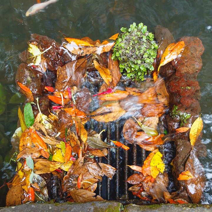 An image of surface water drainage blocked by leaves and natural rubbish that needs clearing.