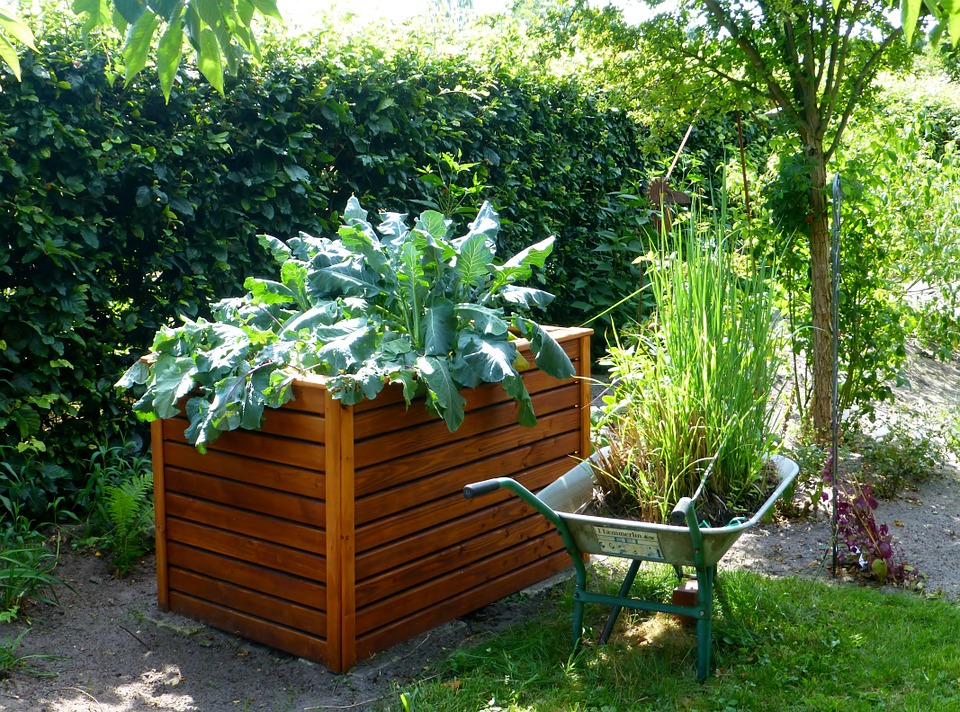 How to effectively save water in your garden.