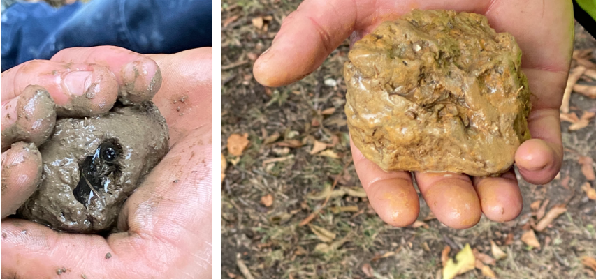 These images are both examples of ground material made up of clay that are both equally non-porous.