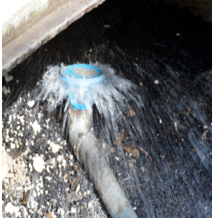 This image is showing a collection of fat and grease at the top of the plastic media suspended above the water line which is hindering the disbursement of the water.
