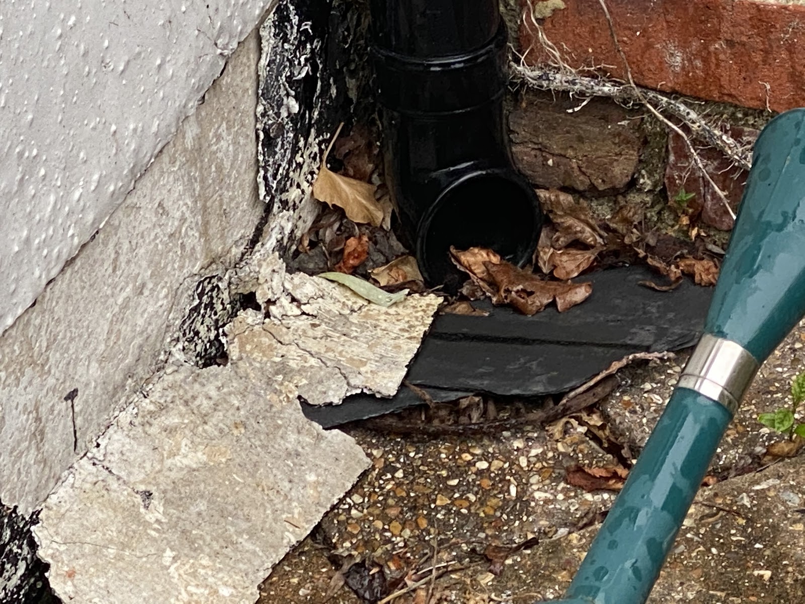 This image shows a down pipe pouring onto the ground next to the house foundations.