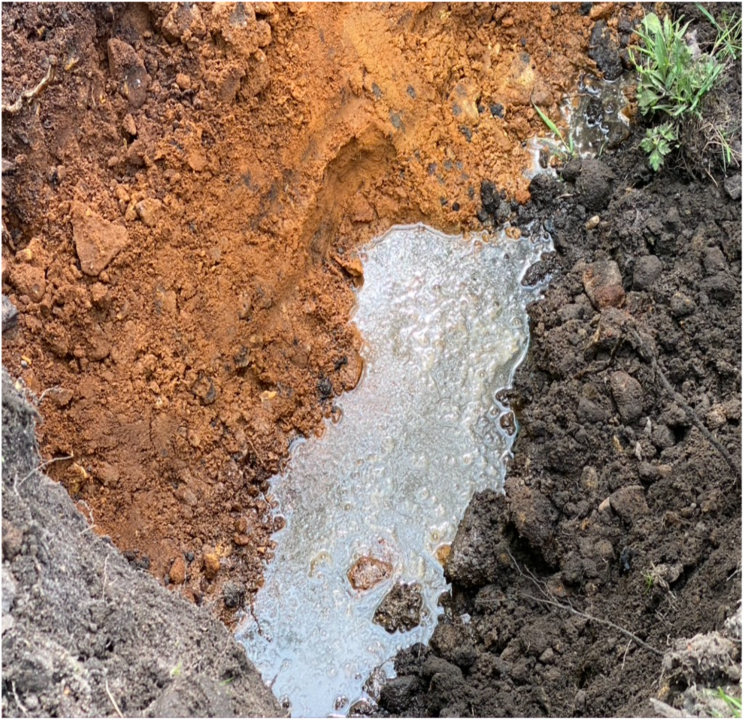 Blackened soil from grease and fat through a drainage field.