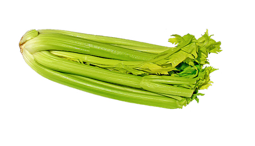 A photo of celery