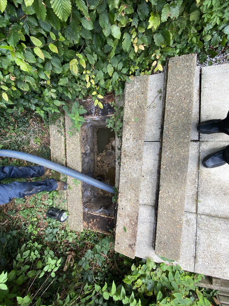 Concrete slabs covering the section of the assumed septic tank, preventing inspection.