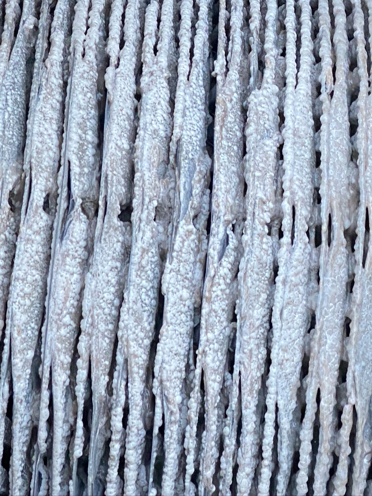 A photo of the wheel in a treatment plant – covered in fats, grease and oil – having trouble turning.