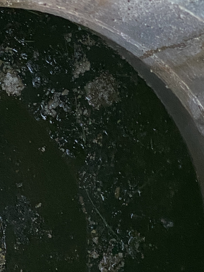 This image shows fat, grease & oil in the holding tank of a treatment plant.