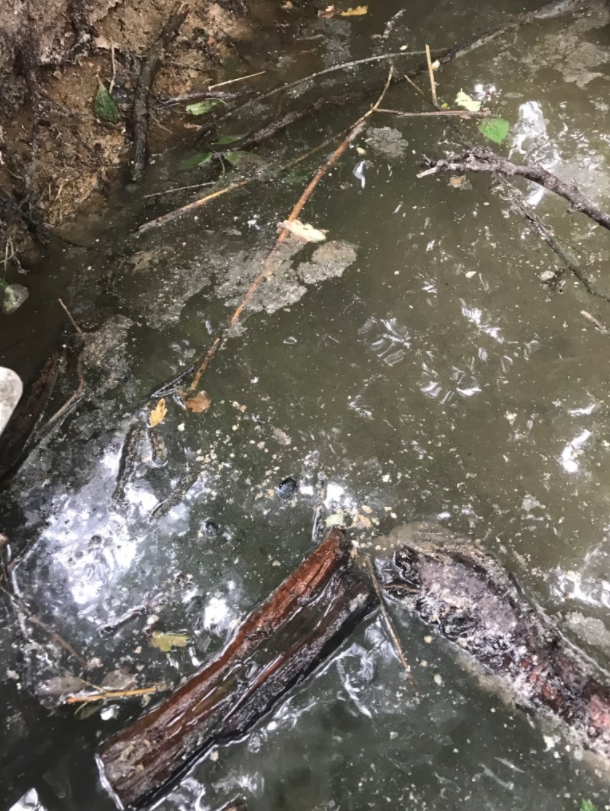 This picture shows the pollution in a stream caused by surface water flooding the wastewater drainage system.