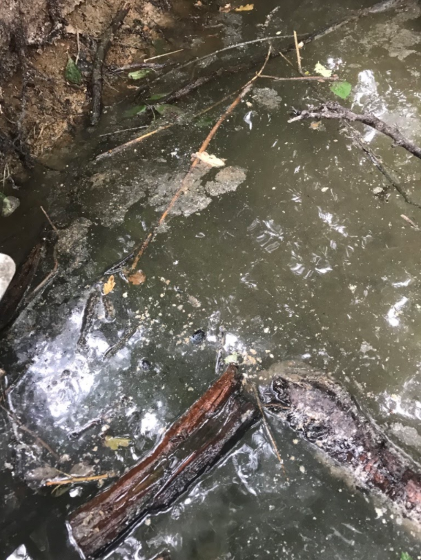 Surface water pushes the sewage through the system to drainage fields and in the case of treatment plants potentially to rivers and streams.