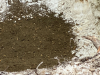 This image shows a porous layer of soil beneath a non-porous layer of clay.