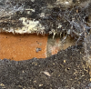 The never-ending cycle lurking below - draing mapping and CCTV surveys are your eyes underground.