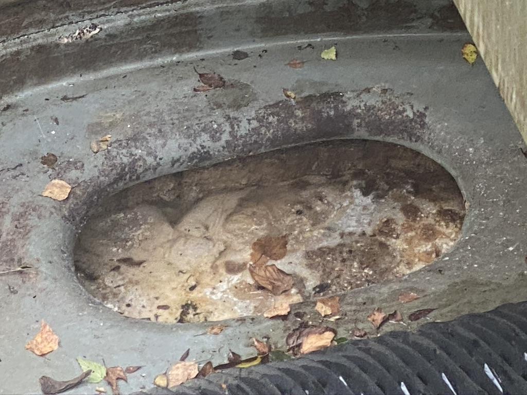 Congealed fat, grease and oil collected in a treatment plant.