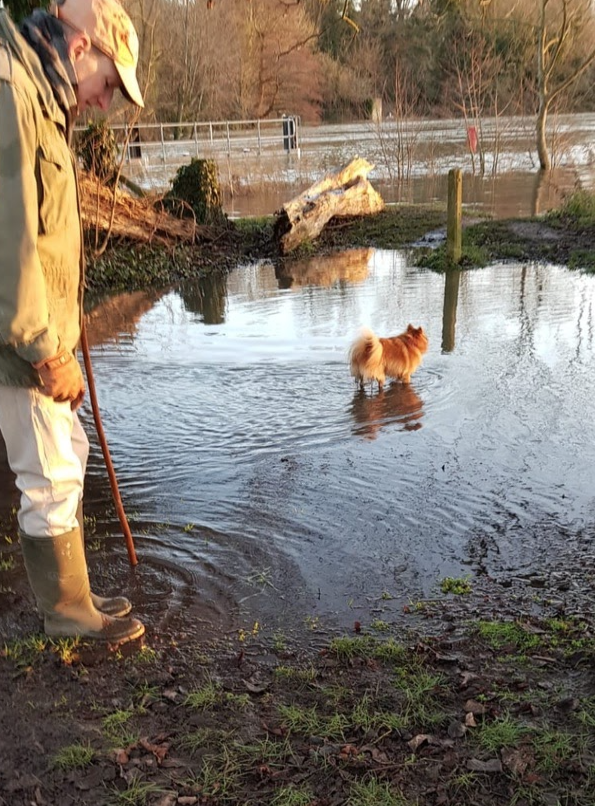 Surface rainwater flooding and pollution.