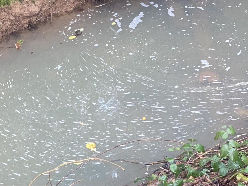 Stagnated river water polluted by a septic tank discharge.