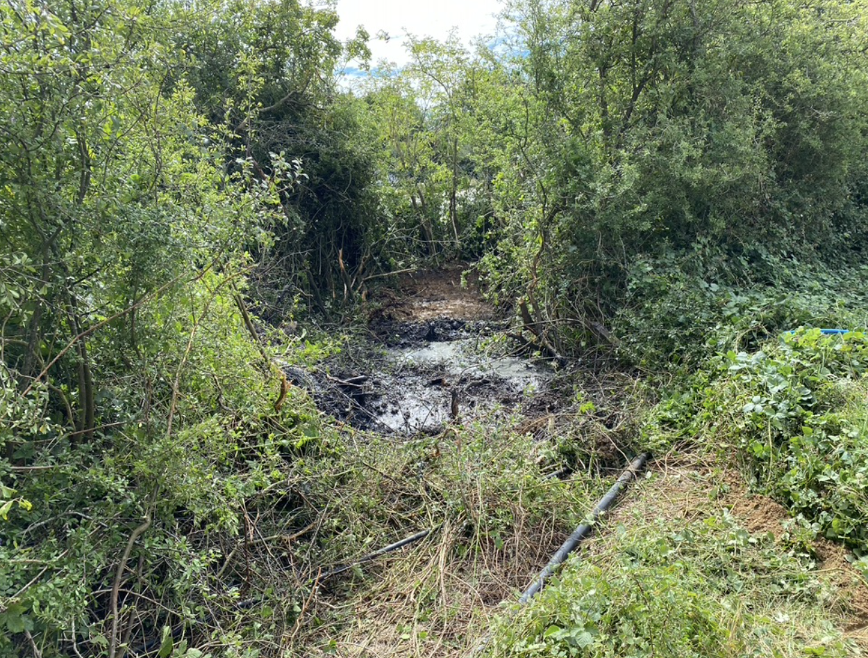 This is a photo showing the pollution that can be avoided with a drain to main sewer connection.