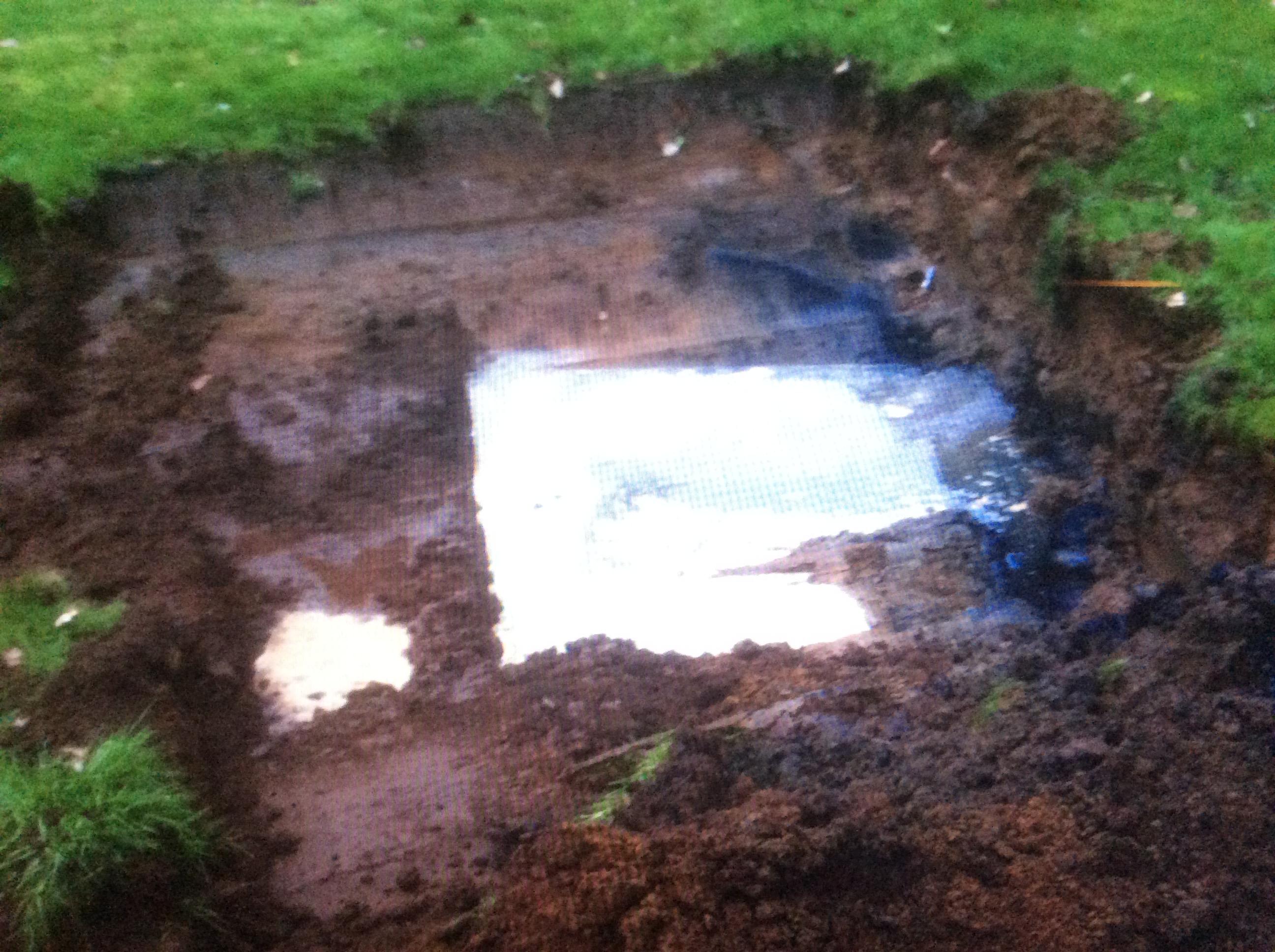 lawn area contaminated by sewage