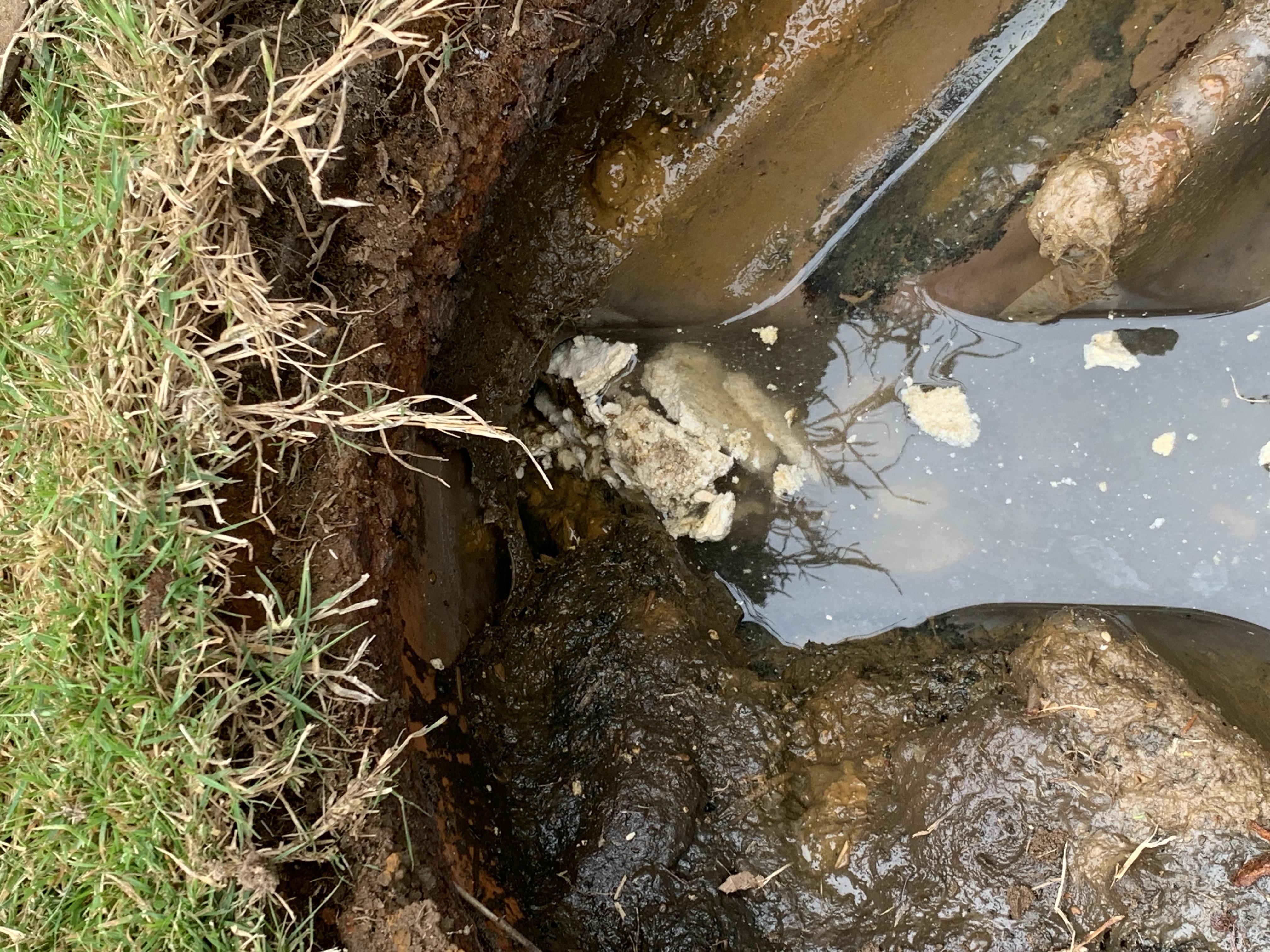 blocked drain repair