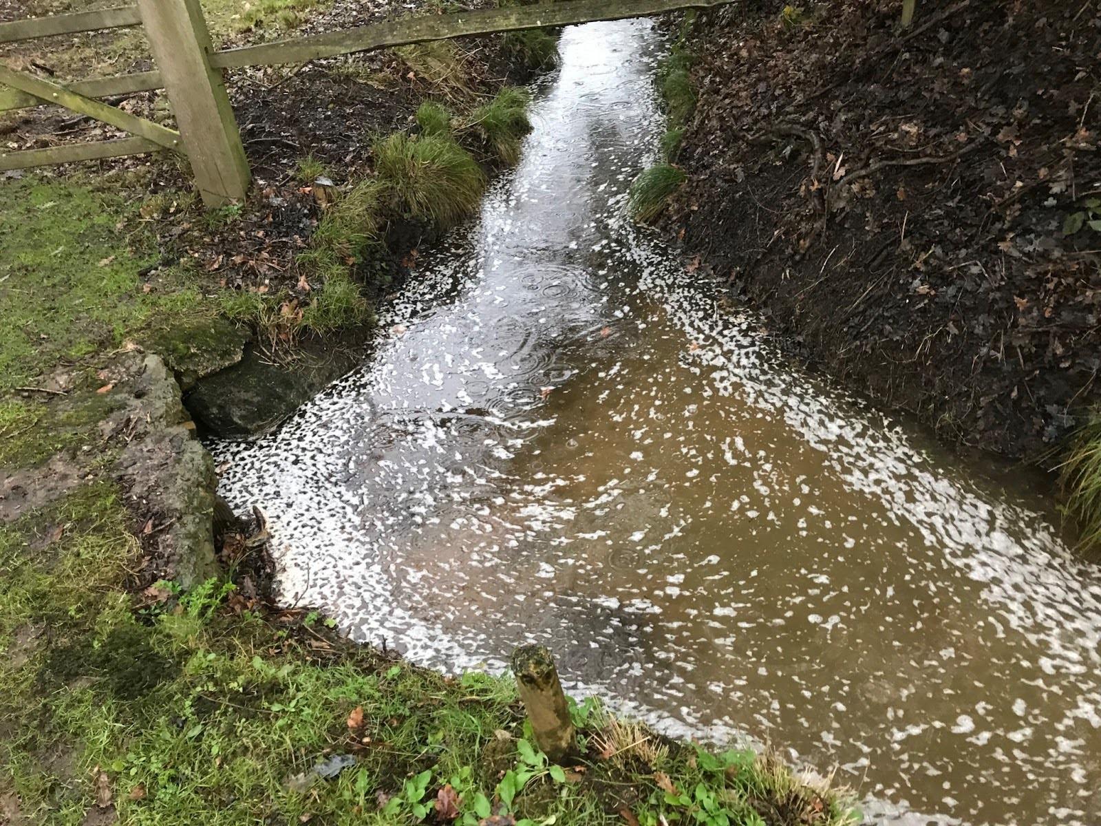 contaminated waterways the result of incorrect private treatment set up