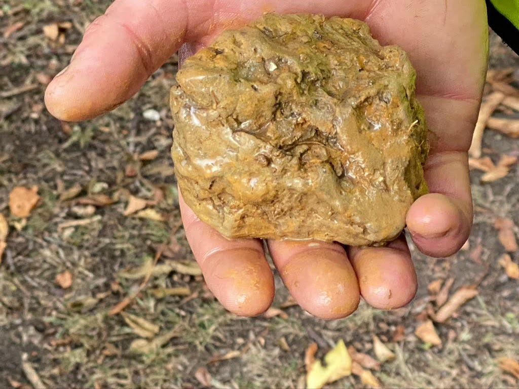 sandy soil sample