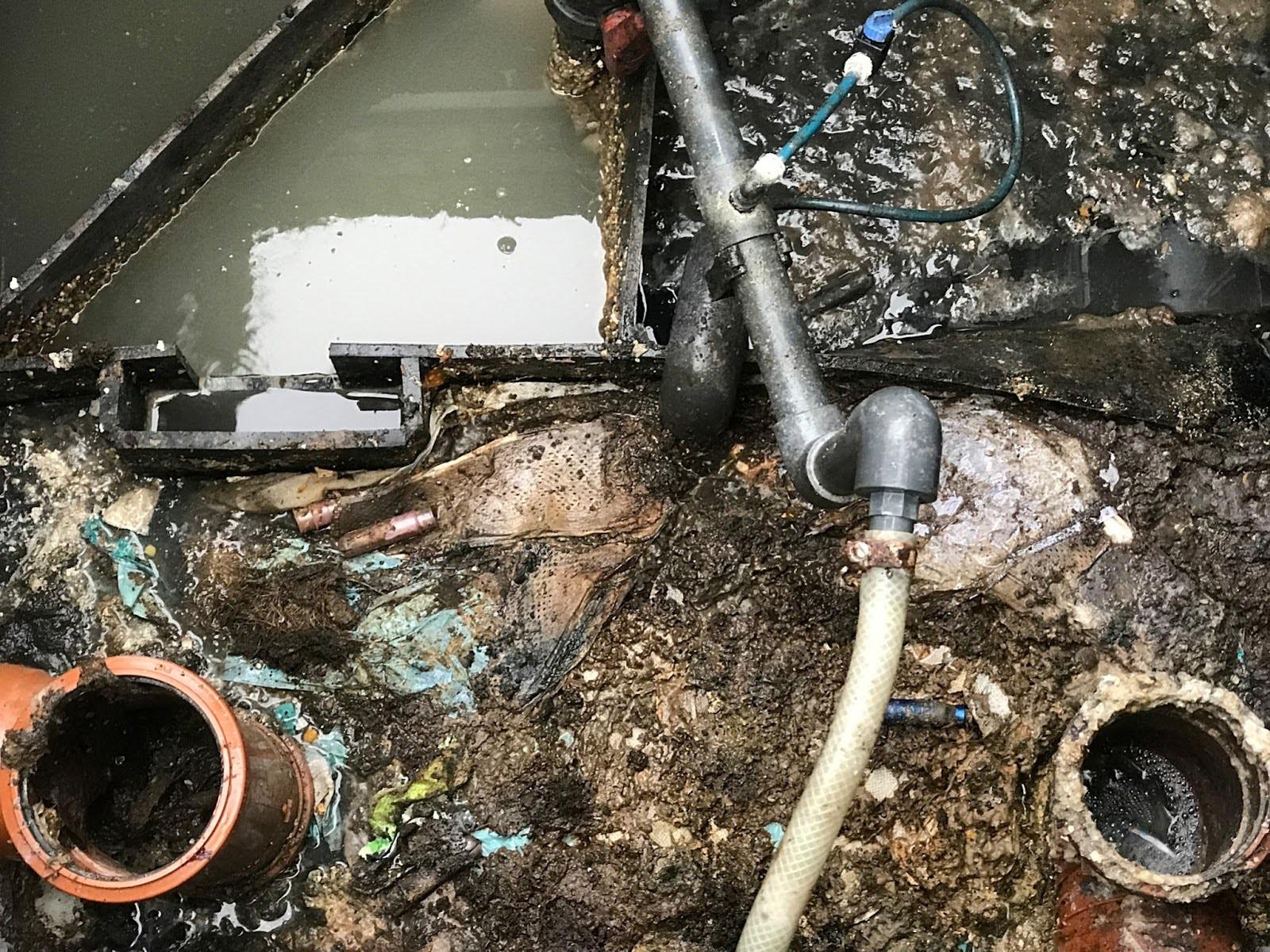 image of a private sewage system undergoing a house purchase survey check
