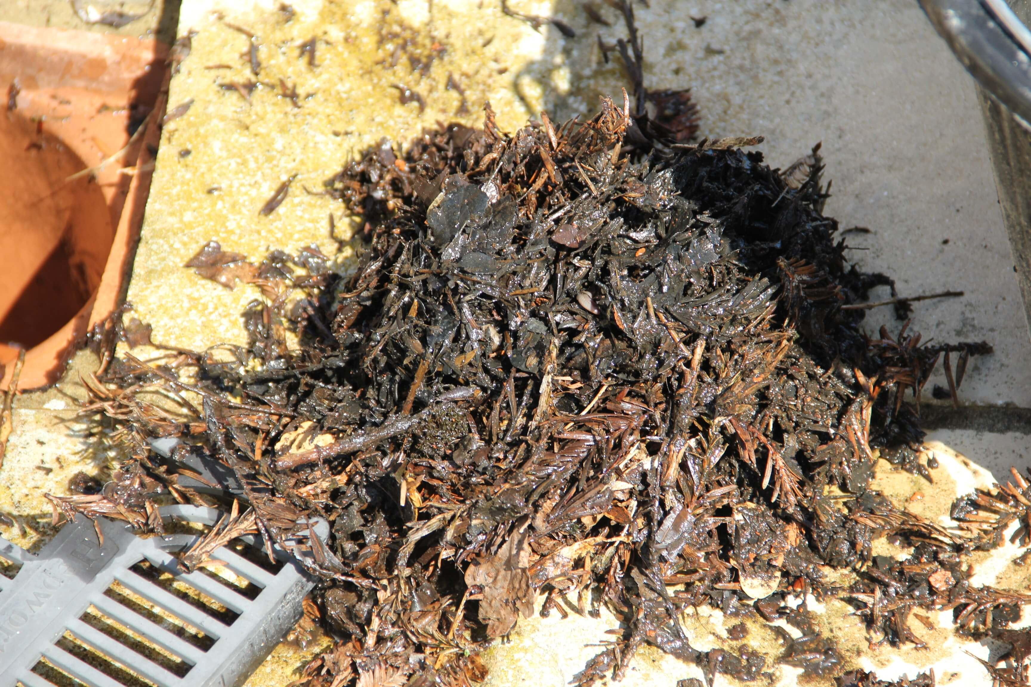 Debris pulled out of a channel drain