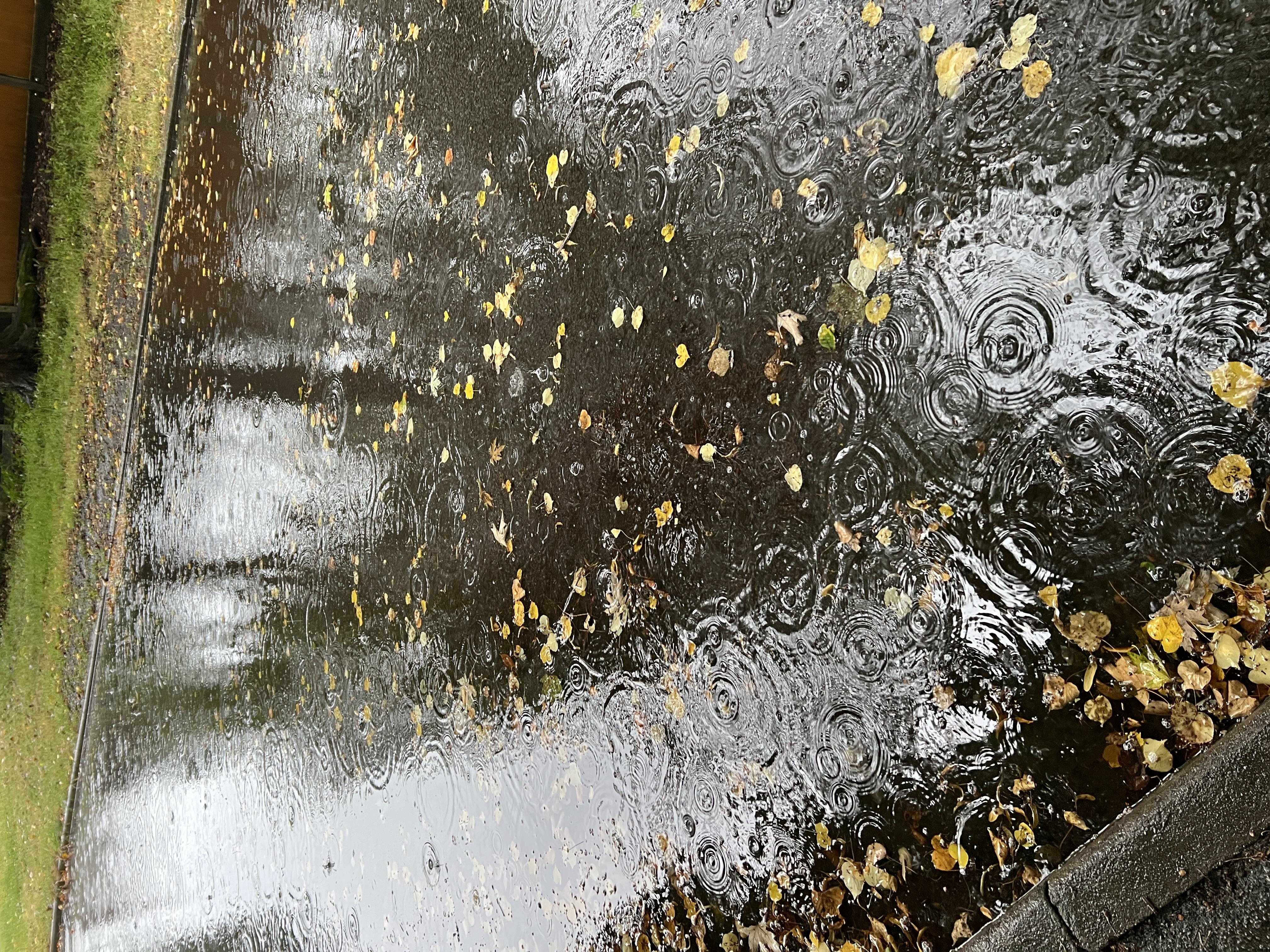 Road flooding due to blocked road gullies without a maintenance plan