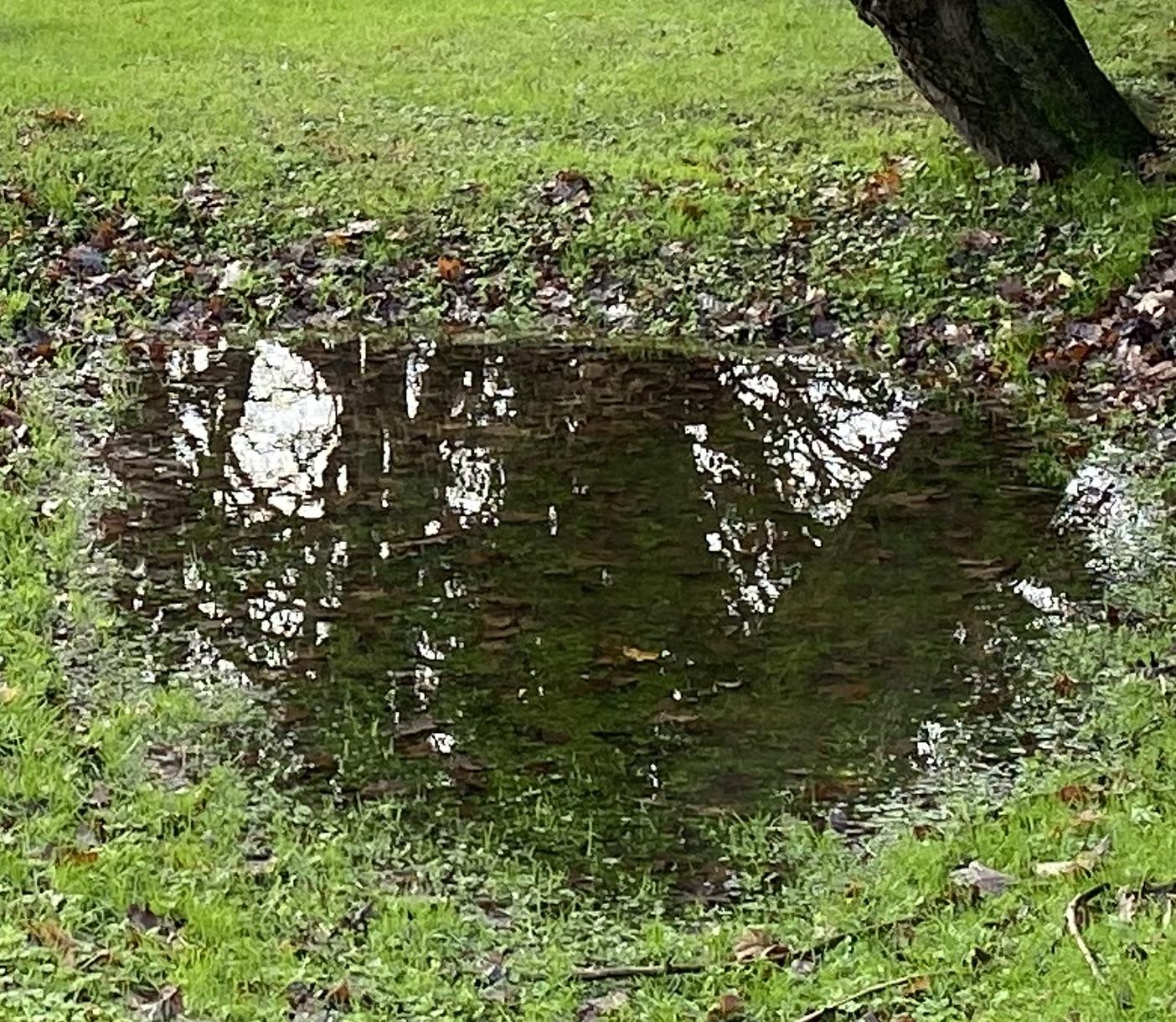 An image of a shallow puddle on a lawn that needs a drainage solution