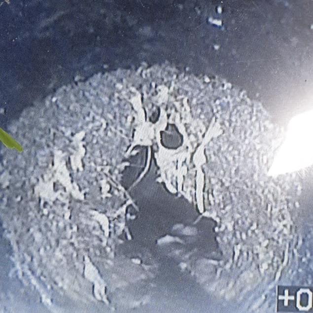 An image of a drain with root ingress which was the cause of the blocked drain in Farnham