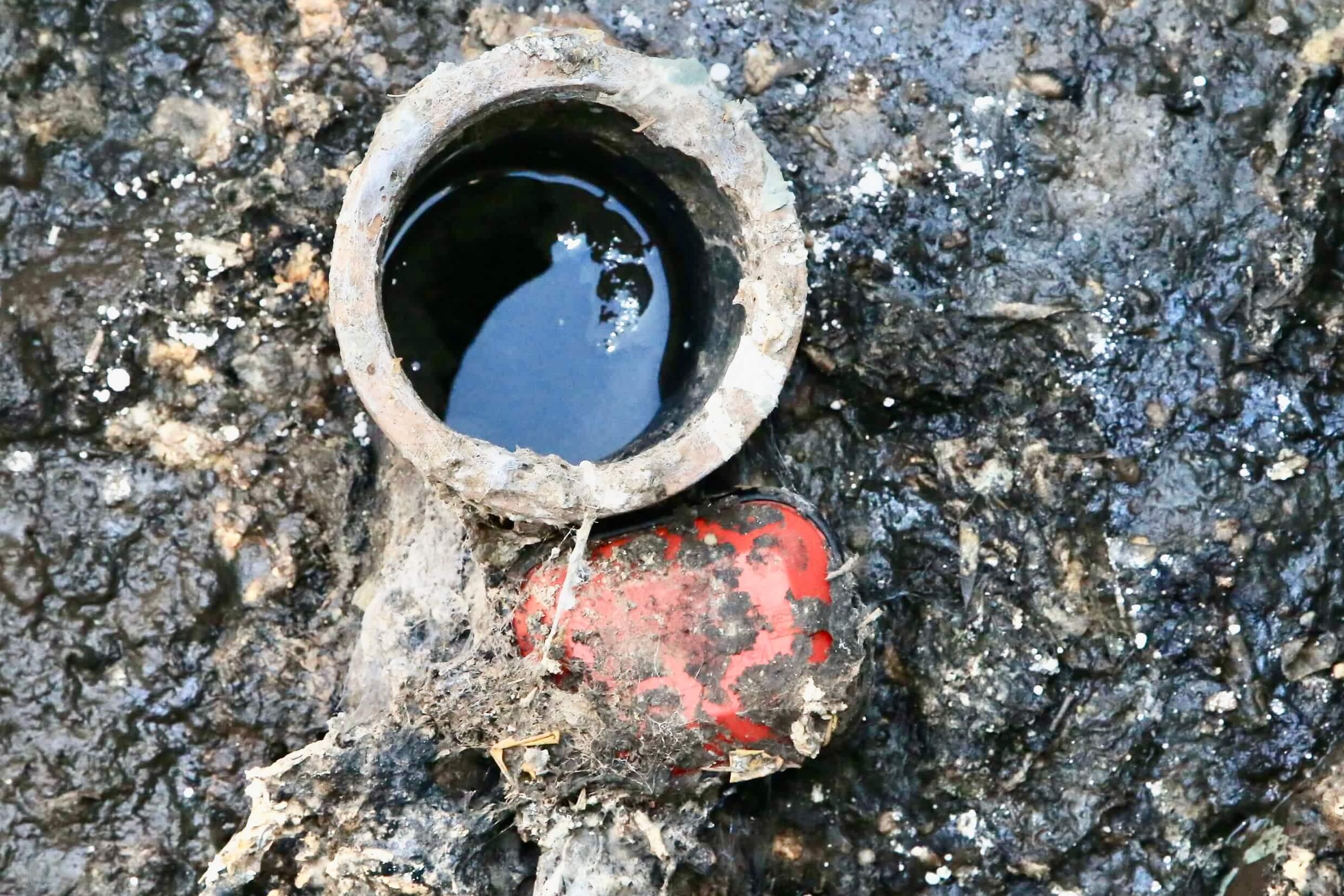 An image of the fat and solids forming a thick sludge around the Treatment Plant.