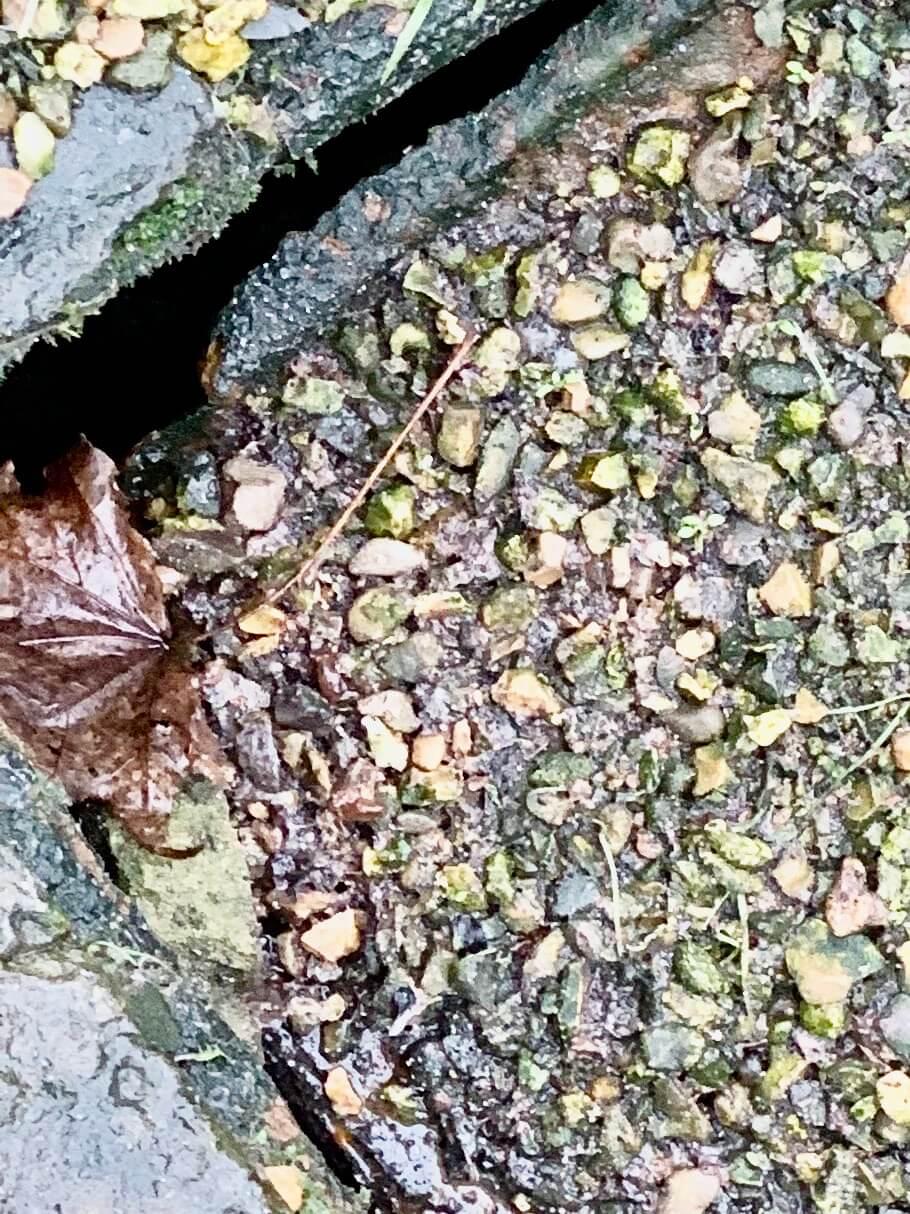 How to spot the signs of a collapsed drain