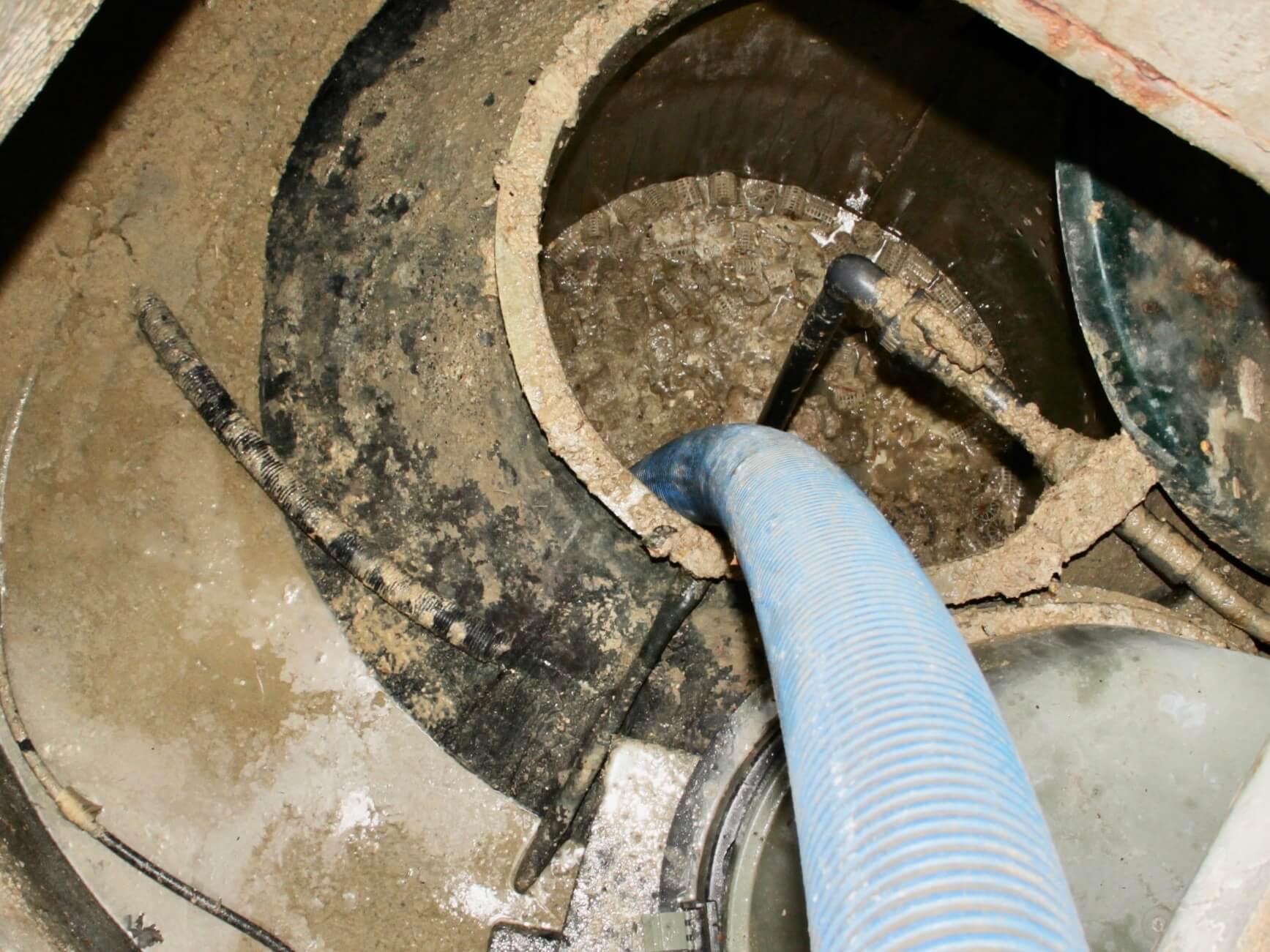 You need to find your own pattern of emptying and the only way to do that is track when you last emptied it and check it when your tank expert suggests. 