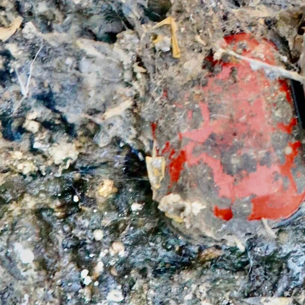 An image of a pump float switch covered in grime.